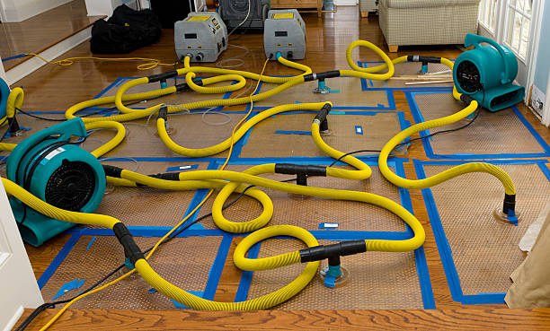 Professional Structural Drying And Dehumidification technician working in Dundee, FL